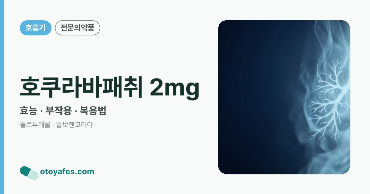 호쿠라바패취 2mg 정리 썸네일