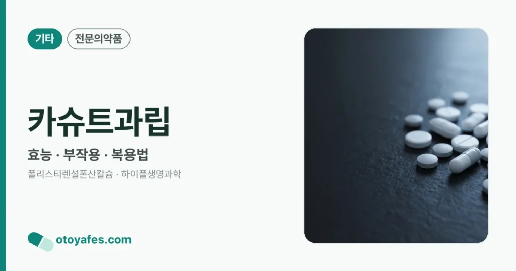 카슈트과립 정리 썸네일