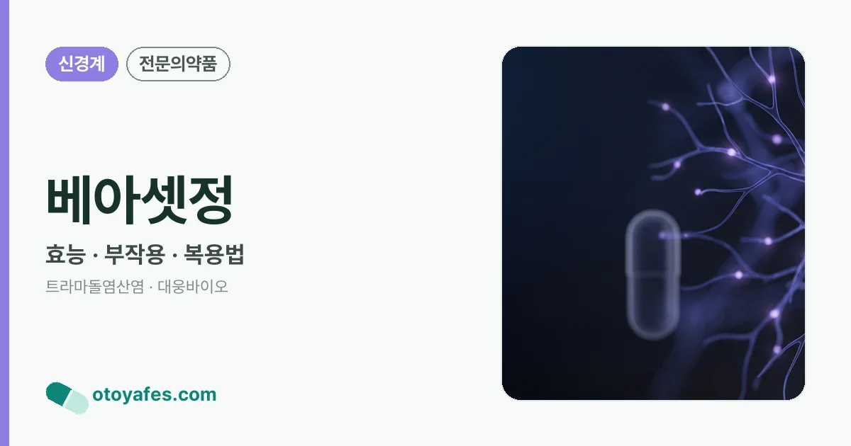 베아셋정 정리 썸네일