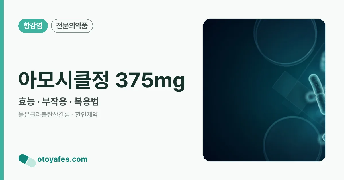 아모시클정 375mg 정리 썸네일