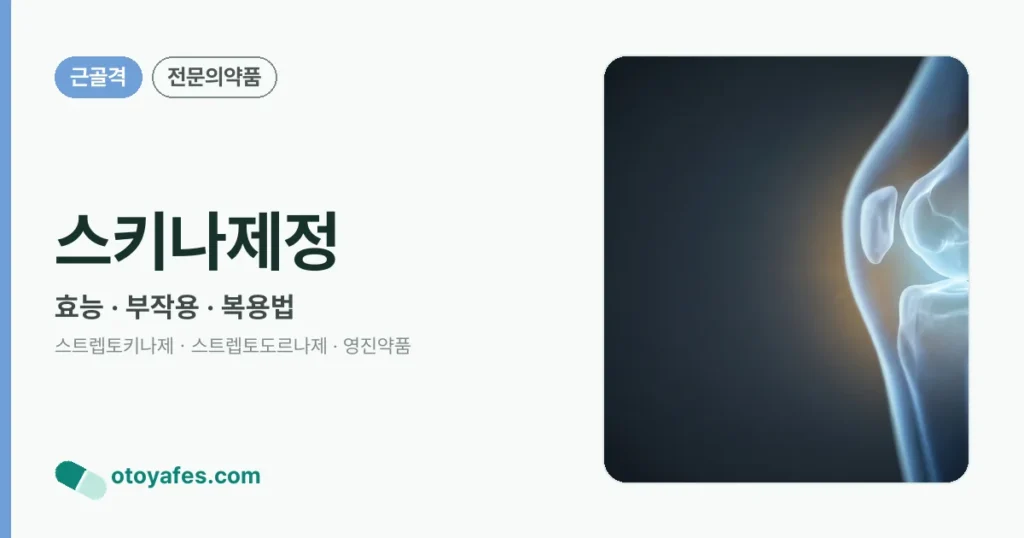 스키나제정 정리 썸네일