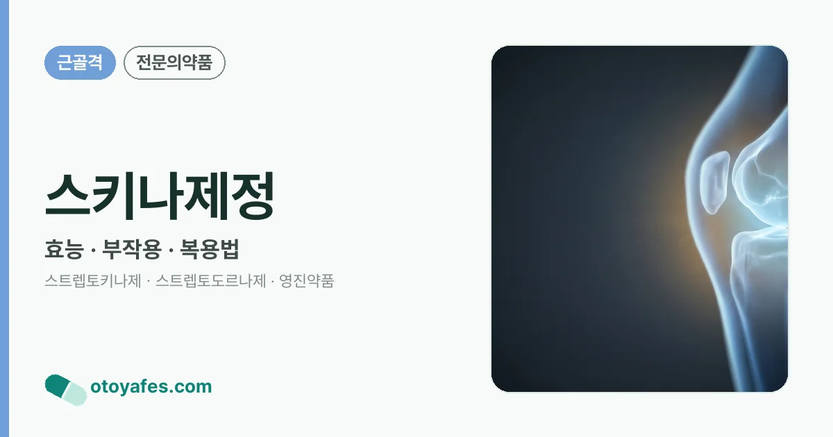 스키나제정 정리 썸네일