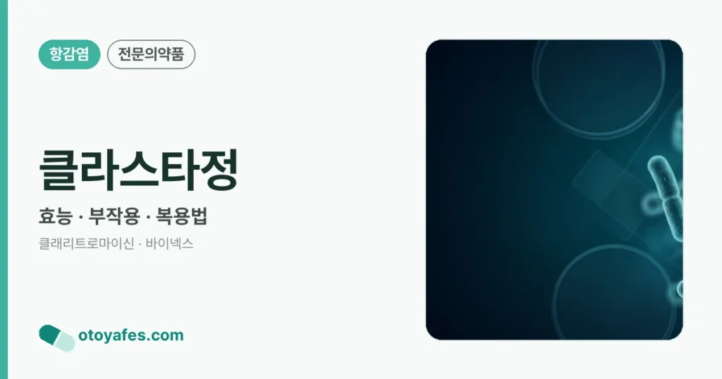 클라스타정 정리 썸네일