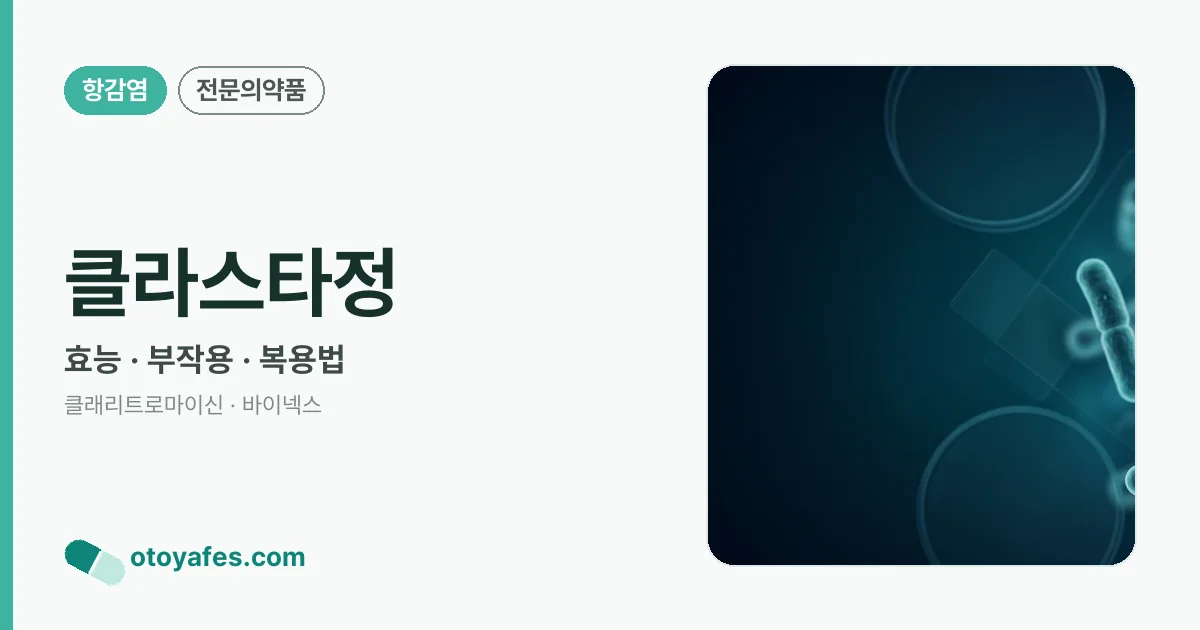 클라스타정 정리 썸네일