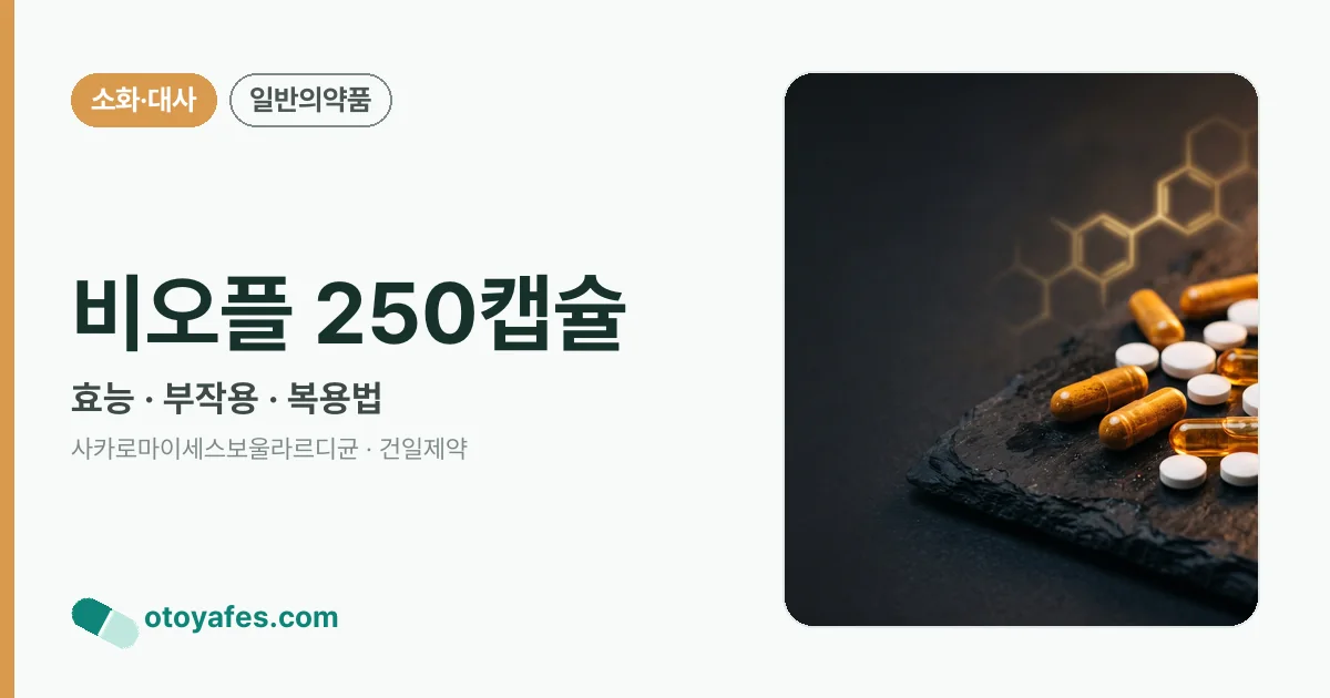 비오플 250캡슐 정리 썸네일