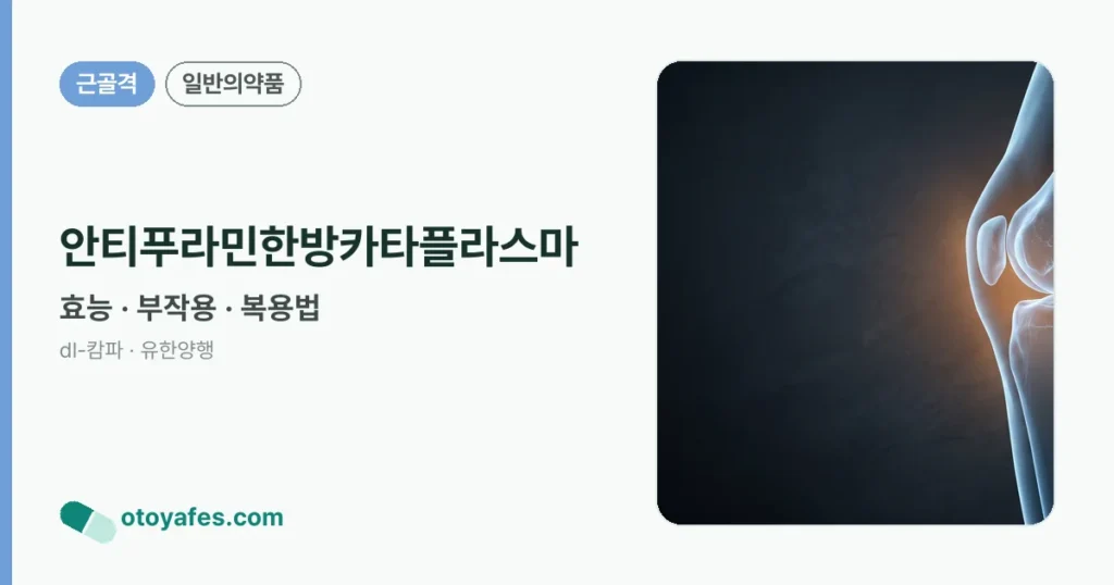 안티푸라민한방카타플라스마 정리 썸네일