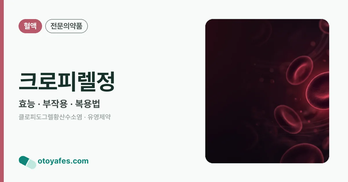 크로피렐정 정리 썸네일