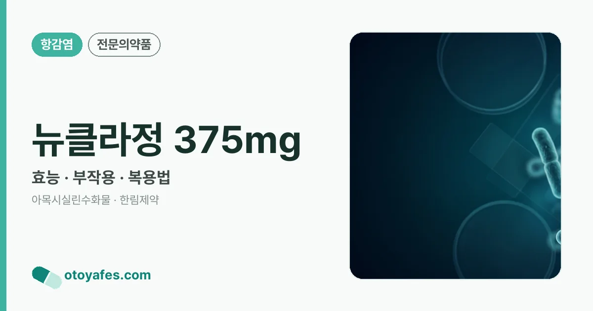 뉴클라정 375mg 정리 썸네일