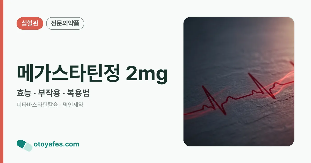 메가스타틴정 2mg 정리 썸네일