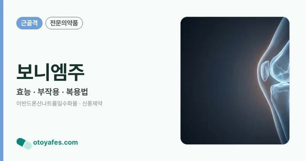 보니엠주 정리 썸네일