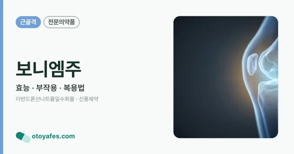 보니엠주 정리 썸네일