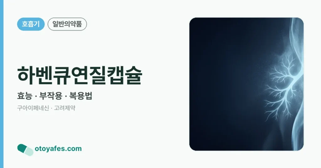 하벤큐연질캡슐 정리 썸네일