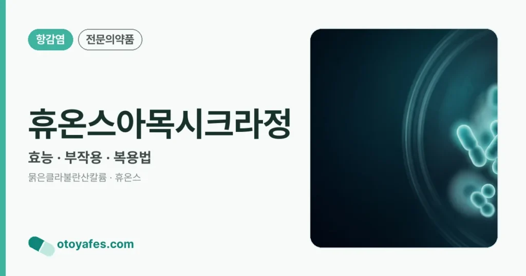 휴온스아목시크라정 정리 썸네일