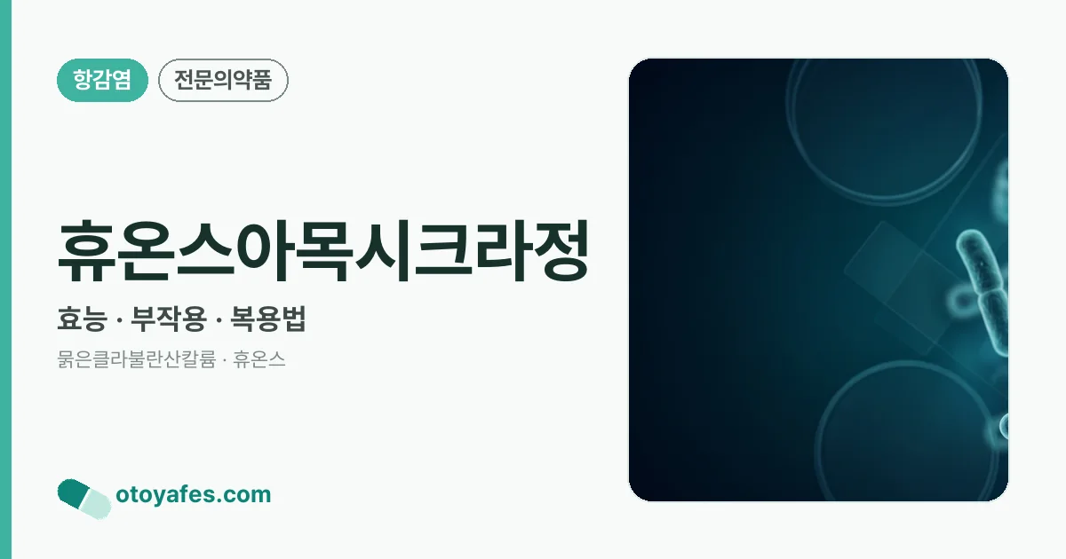 휴온스아목시크라정 정리 썸네일