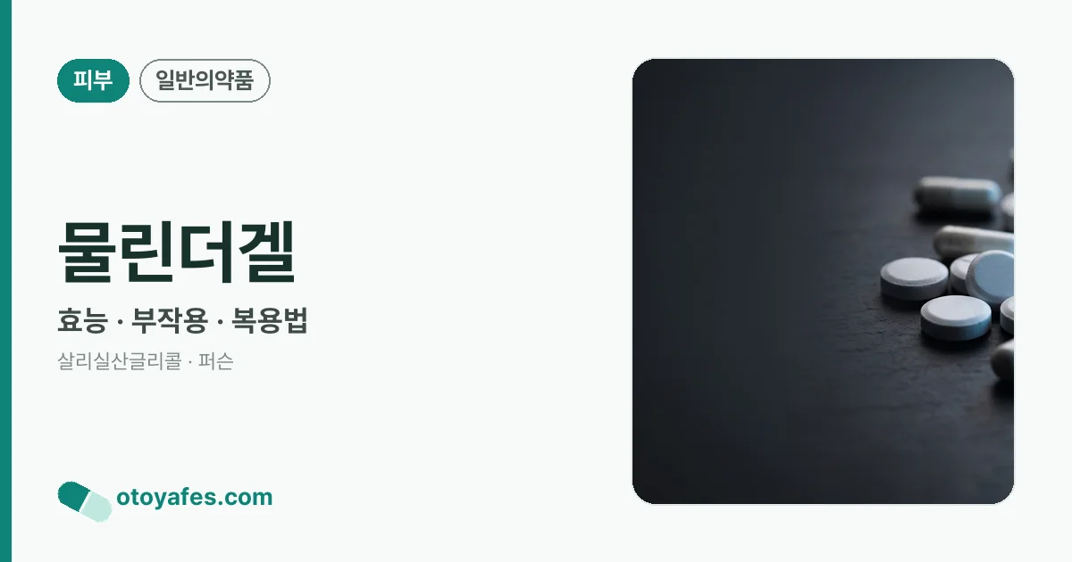 물린더겔 정리 썸네일