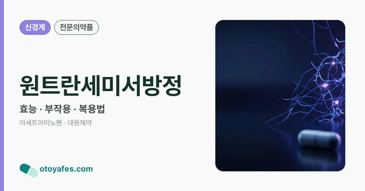 원트란세미서방정 정리 썸네일