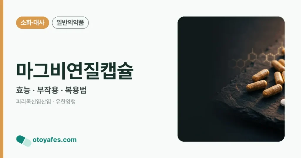 마그비연질캡슐 정리 썸네일
