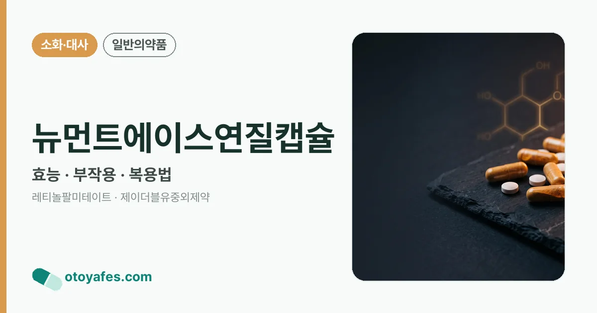 뉴먼트에이스연질캡슐 정리 썸네일
