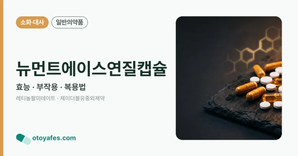 뉴먼트에이스연질캡슐 정리 썸네일