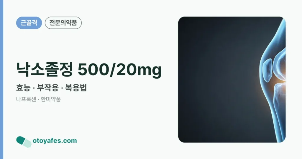 낙소졸정 500/20mg 정리 썸네일