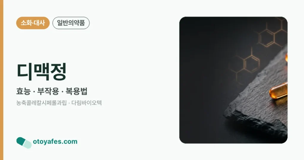 디맥정 정리 썸네일