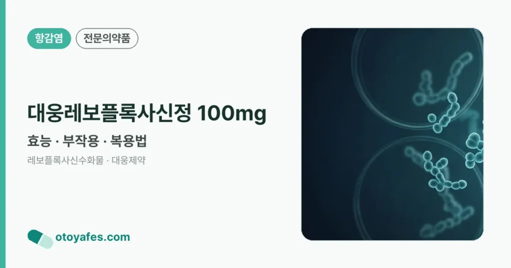 대웅레보플록사신정 100mg 정리 썸네일