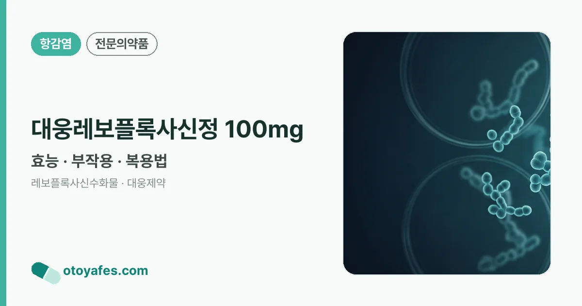 대웅레보플록사신정 100mg 정리 썸네일