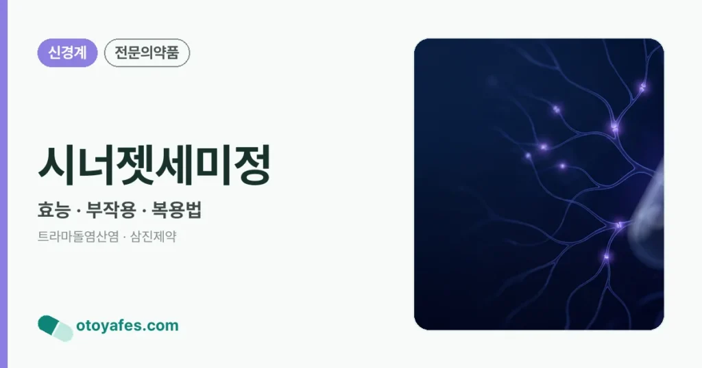 시너젯세미정 정리 썸네일