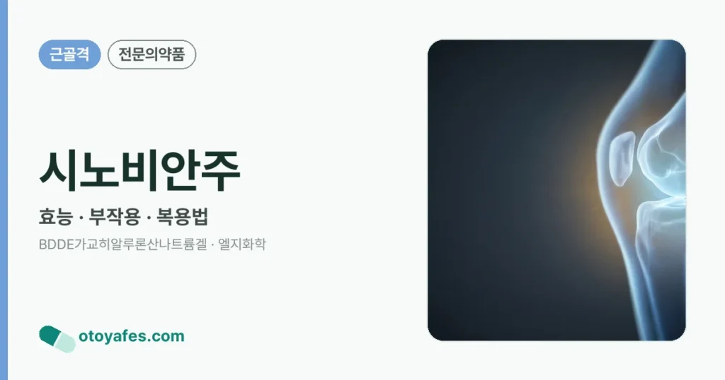 시노비안주 정리 썸네일