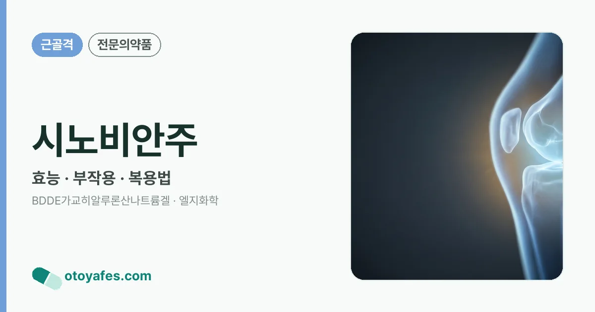 시노비안주 정리 썸네일