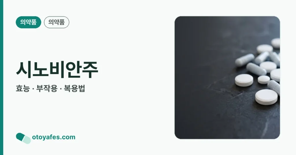 시노비안주 정리 썸네일