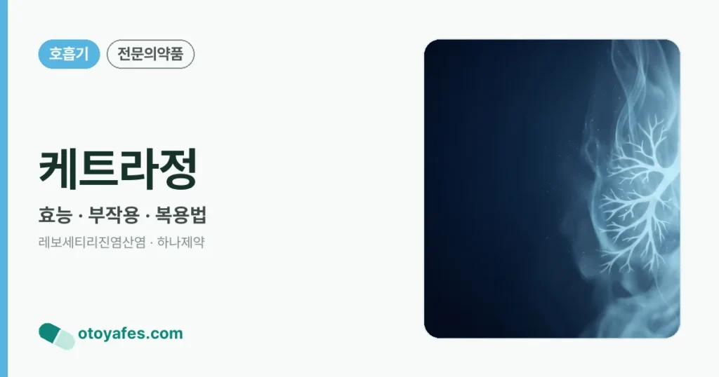 케트라정 정리 썸네일