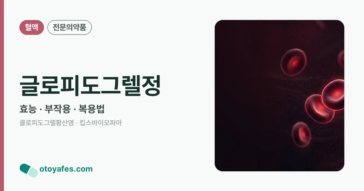 글로피도그렐정 정리 썸네일