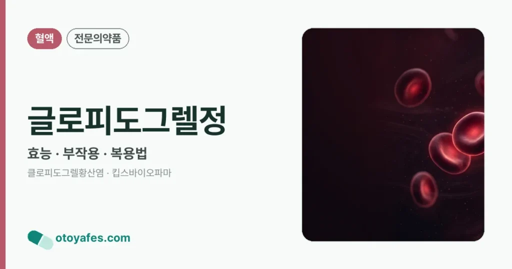 글로피도그렐정 정리 썸네일