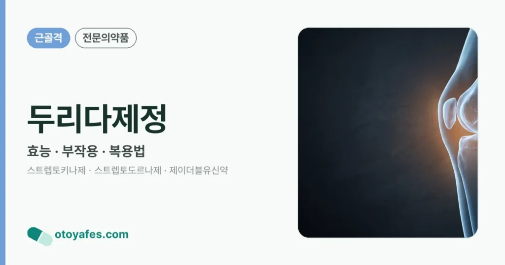두리다제정 정리 썸네일