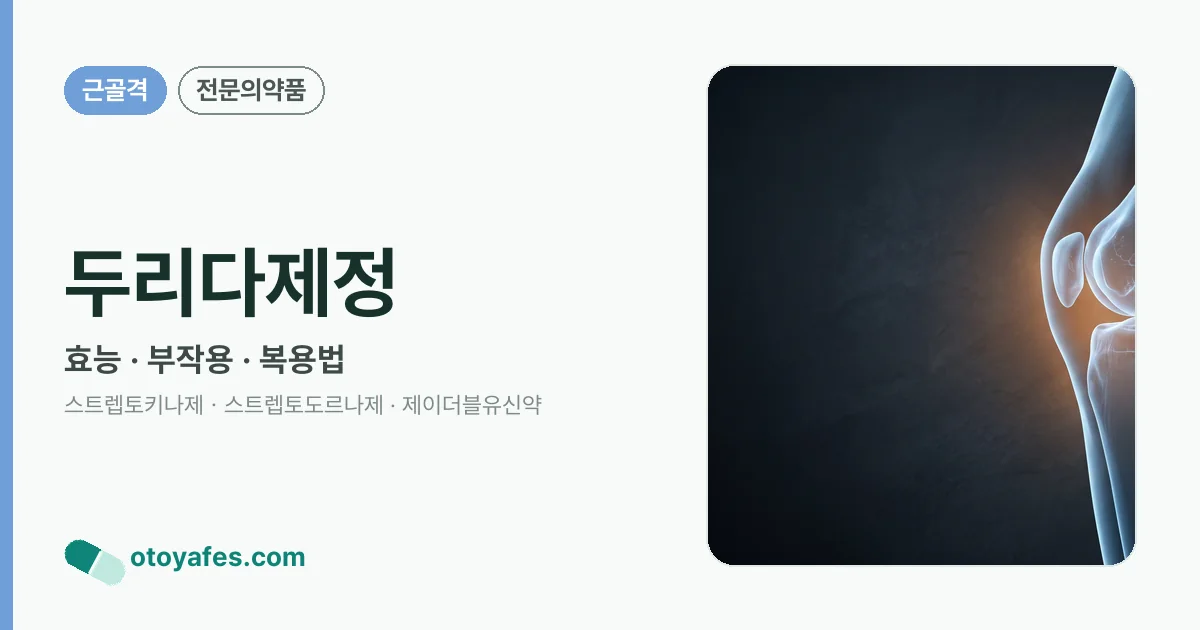 두리다제정 정리 썸네일