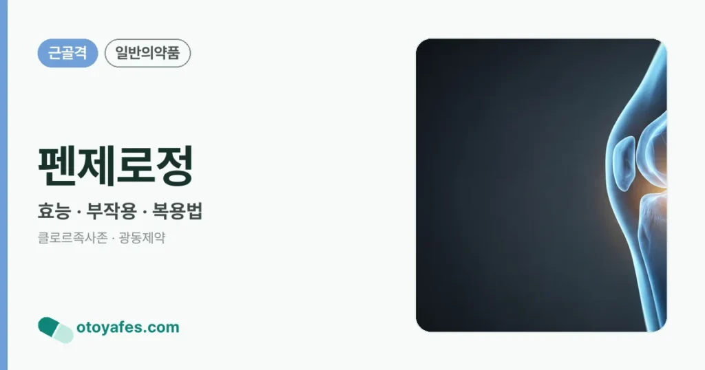 펜제로정 정리 썸네일