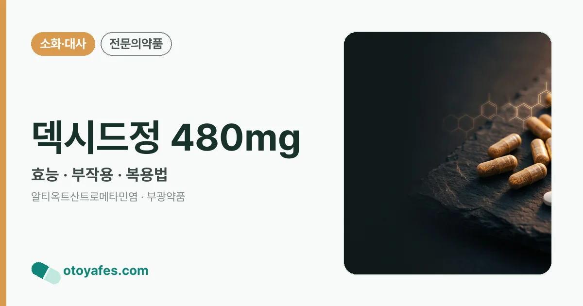 덱시드정 480mg 정리 썸네일