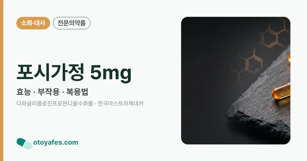 포시가정 5mg 정리 썸네일