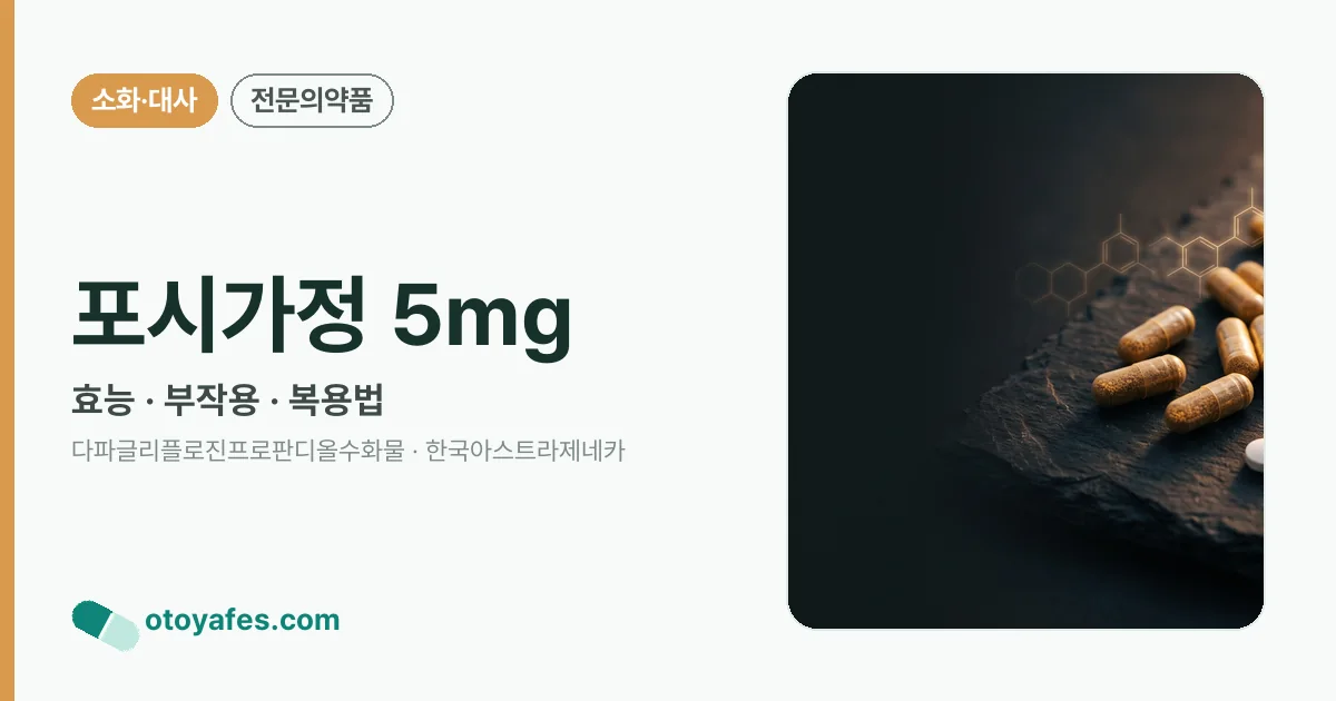 포시가정 5mg 정리 썸네일