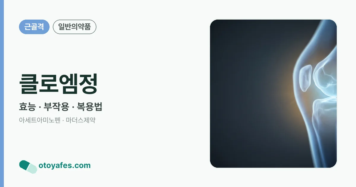 클로엠정 정리 썸네일