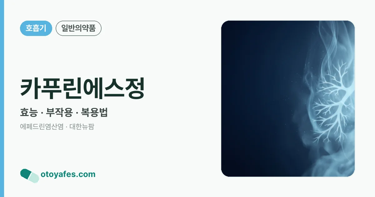 카푸린에스정 정리 썸네일