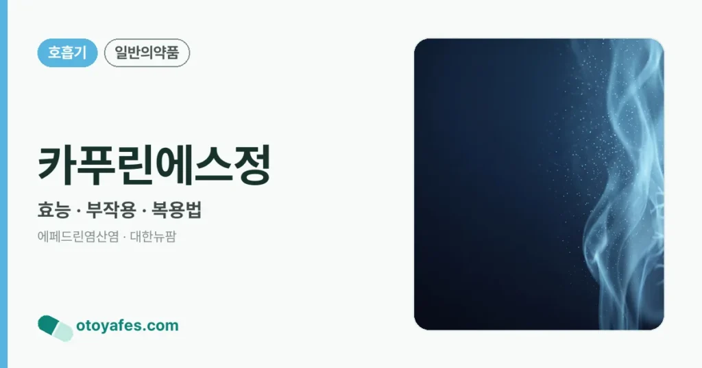 카푸린에스정 정리 썸네일