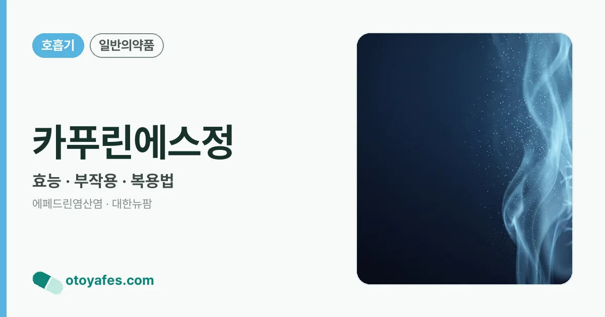 카푸린에스정 정리 썸네일
