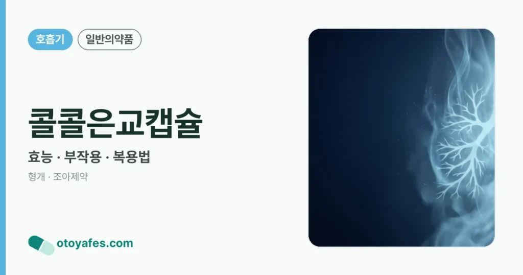 콜콜은교캡슐 정리 썸네일