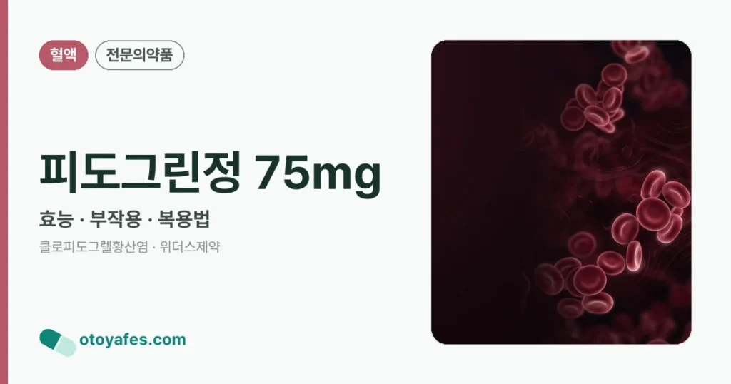 피도그린정 75mg 정리 썸네일