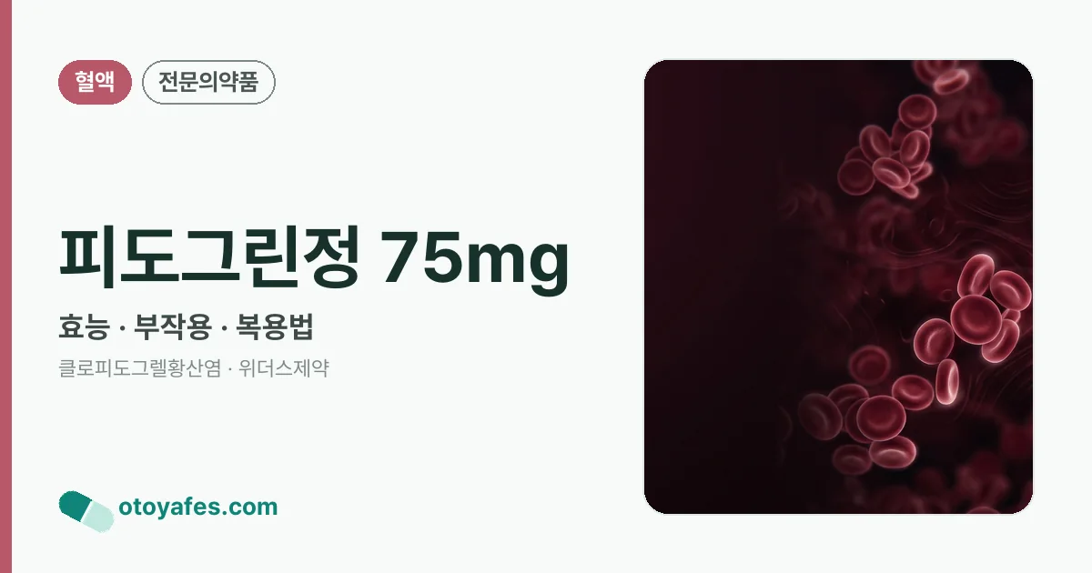 피도그린정 75mg 정리 썸네일