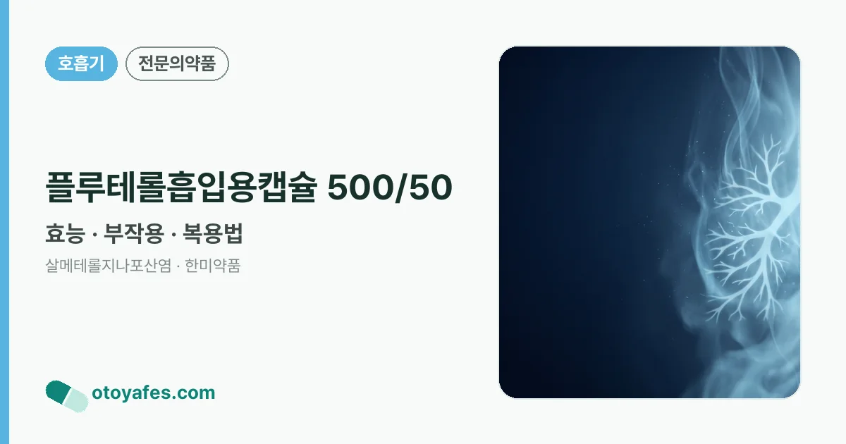 플루테롤흡입용캡슐 500/50 정리 썸네일