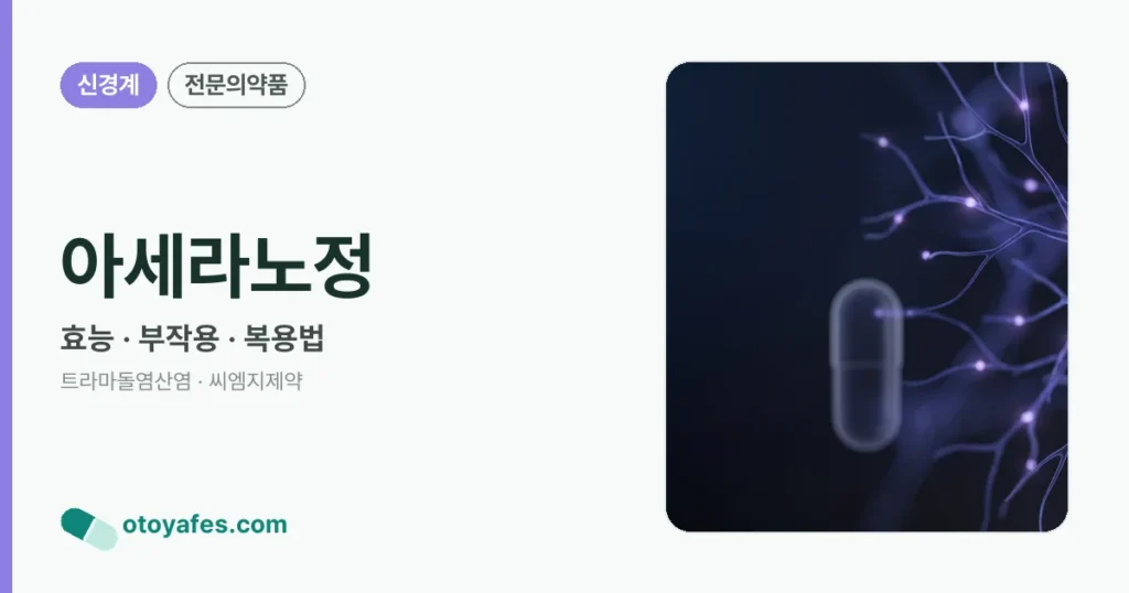아세라노정 정리 썸네일
