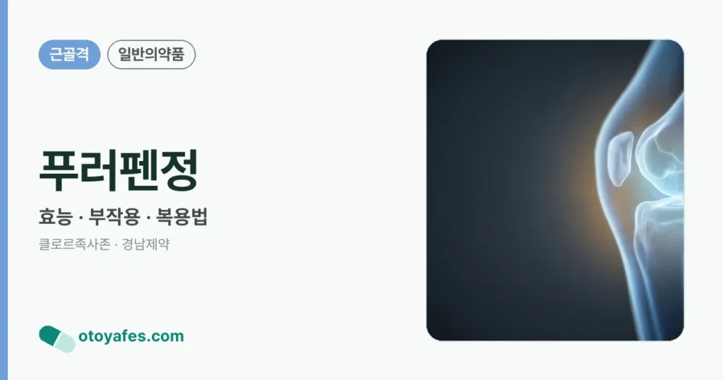 푸러펜정 정리 썸네일